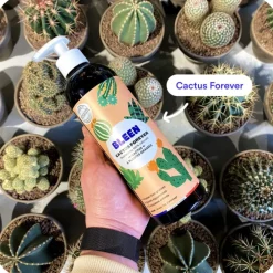 Duo engrais plantes vertes et cactus liquide naturel Bleen - 2 x 450 mL