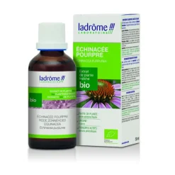 Echinaforce echinacee pourpe flacon 50ml