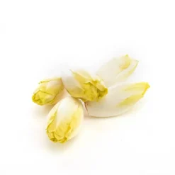Endive bio de France - Prix au kg