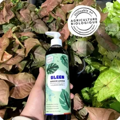 Engrais plantes vertes liquide naturel Bleen - 450 mL