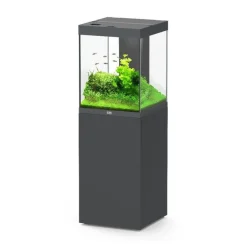 Ensemble aquarium équipé et meuble Tower coloris gris anthracite - 163 L