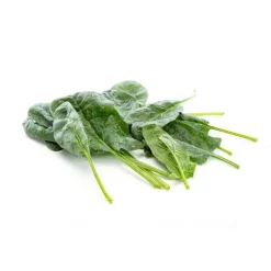 Epinard pied bio de France - Prix au kg