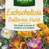 Eschscholtzia Ballerine Varié Vilmorin - graines à semer
