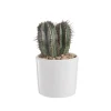 Euphorbia en pot blanc émaillé H 10 x Ø 10 cm