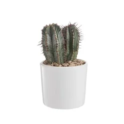 Euphorbia en pot blanc émaillé H 10 x Ø 10 cm