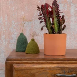 Euphorbia hermentiana rubra en pot terre cuite H 10 x Ø 15 cm