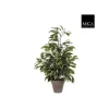 Ficus Exotica vert panaché plante artificielle en pot gris H 65 x Ø 60 cm