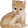 Figurine en résine chat roux se léchant la patte Riviera - 14 cm