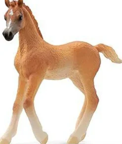 Figurine Poulain arabe Schleich