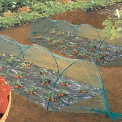 Filet de protection anti-oiseaux coloris noir 2x10 m