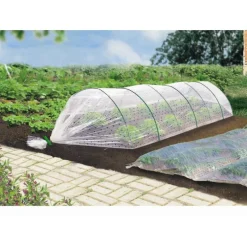 Film de croissance coloris transparent 2x5 m