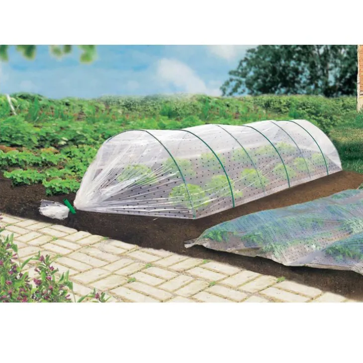 Film de croissance coloris transparent 2x10 m