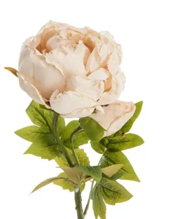 Fleur artificielle en papier tige de pivoine coloris beige - H 62 cm
