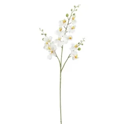Fleur artificielle Phalaénopsis blanc - 75 cm