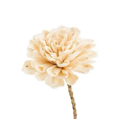 Fleur en bois de Sola et coco forme Dalhia - Ø 8 x H 50 cm