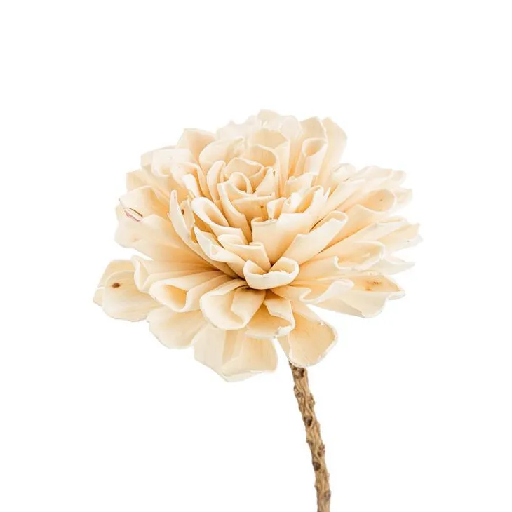 Fleur en bois de Sola et coco forme Dalhia - Ø 8 x H 50 cm