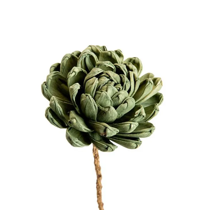 Fleur en bois de Sola et coco forme Dalhia - Ø 8 x H 50 cm