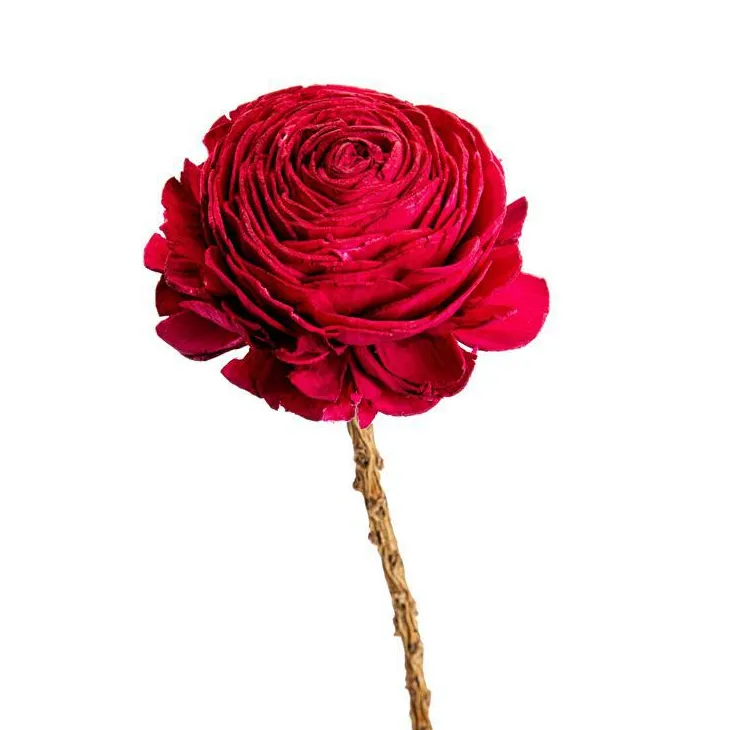 Fleur en bois de Sola et coco forme Gardénia - Ø 8 x H 51 cm