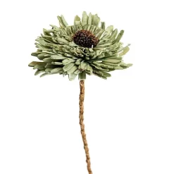 Fleur en bois de Sola et coco forme Œillet - Ø 8 x H 53 cm