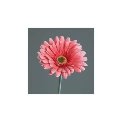 Fleur gerbera artificielle
