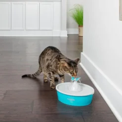 Fontaine Drinkwell Papillon coloris bleu - 1,5 L