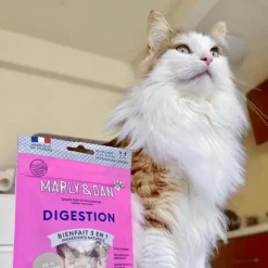 Friandises pour chat tendres bouchées digestion Marly & Dan - 40 g
