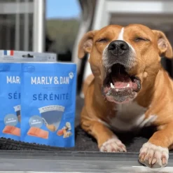 Friandises pour chien tendres bouchées sérénité Marly & Dan - 50 g