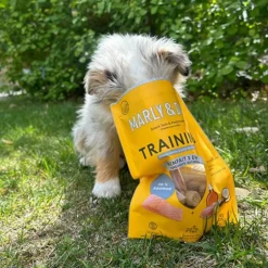Friandises pour chien tendres bouchées éducation Marly & Dan - 100 g
