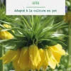 Fritillaire Lutea botanic® - 1 bulbe