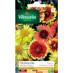 Gaillarde Grandes fleurs Vilmorin - graines à semer
