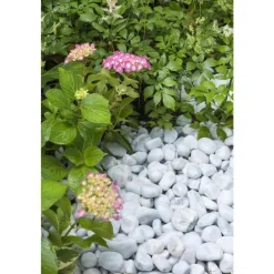 Galets de marbre blanc de Carrare calibre 40 à 60 mm en sac de 10 kg