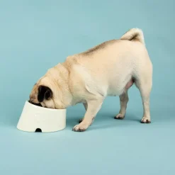 Gamelle pour chien à la face aplatie coloris beige en grès Scruffs – 18 x 15 x 10,5 cm