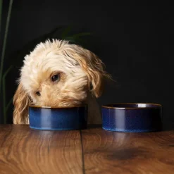 Gamelle pour chien en grès coloris bleu nuit Reactive Glaze Scruffs - 13 x 13 x 5 cm