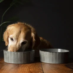 Gamelle pour chien en grès coloris gris avec rayures Reactive Glaze Scruffs - 19 x 19 x 8 cm