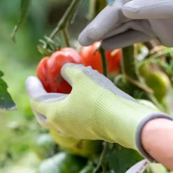 Gants Colors Vert anis