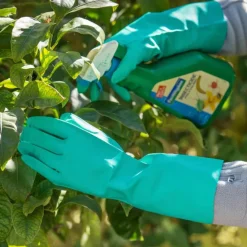 Gants de jardinage Phyto coloris vert