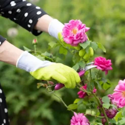 Gants de jardinage pour rosiers Vert anis