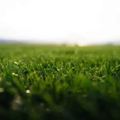 Gazon naturel résistant à la sécheresse en rouleaux Les Gazons de la Hardt - prix au m² pour une surface achetée totale de 151 à 300 m²