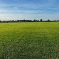 Gazon naturel résistant à la sécheresse en rouleaux Les Gazons de la Hardt - prix au m² pour une surface achetée totale de 151 à 300 m²