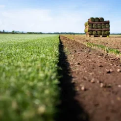 Gazon naturel résistant à la sécheresse en rouleaux Les Gazons de la Hardt - prix au m² pour une surface achetée totale de 10 à 50 m²