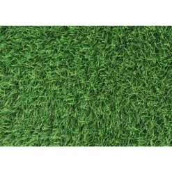 Gazon synthétique C Revolution 25 mm vert en rouleau 1x3 m