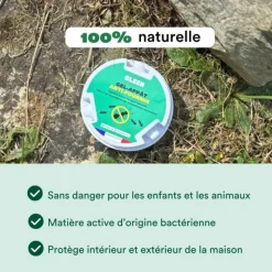 Gel appât anti-fourmis effet radical en 48h Bleen - 6 boîtes