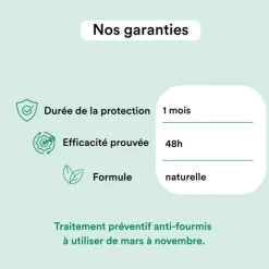 Gel appât anti-fourmis effet radical en 48h Bleen - 6 boîtes