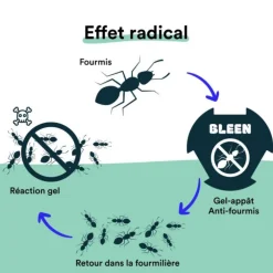 Gel appât anti-fourmis effet radical en 48h Bleen - 6 boîtes