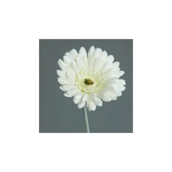 Gerbera artificiel