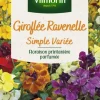 Giroflée Ravenelle Simple Variée Vilmorin - graines à semer