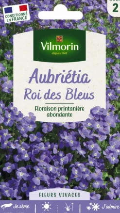 Graines de Aubriétia Roi des Bleus Vilmorin - graines à semer