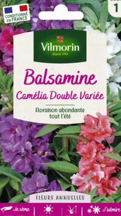 Graines de Balsamine Camélia double variée Vilmorin - graines à semer