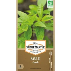 Graines de basilic cannelle bio Ferme de Sainte Marthe - graines à semer