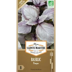 Graines de basilic pourpre bio Ferme de Sainte Marthe - graines à semer